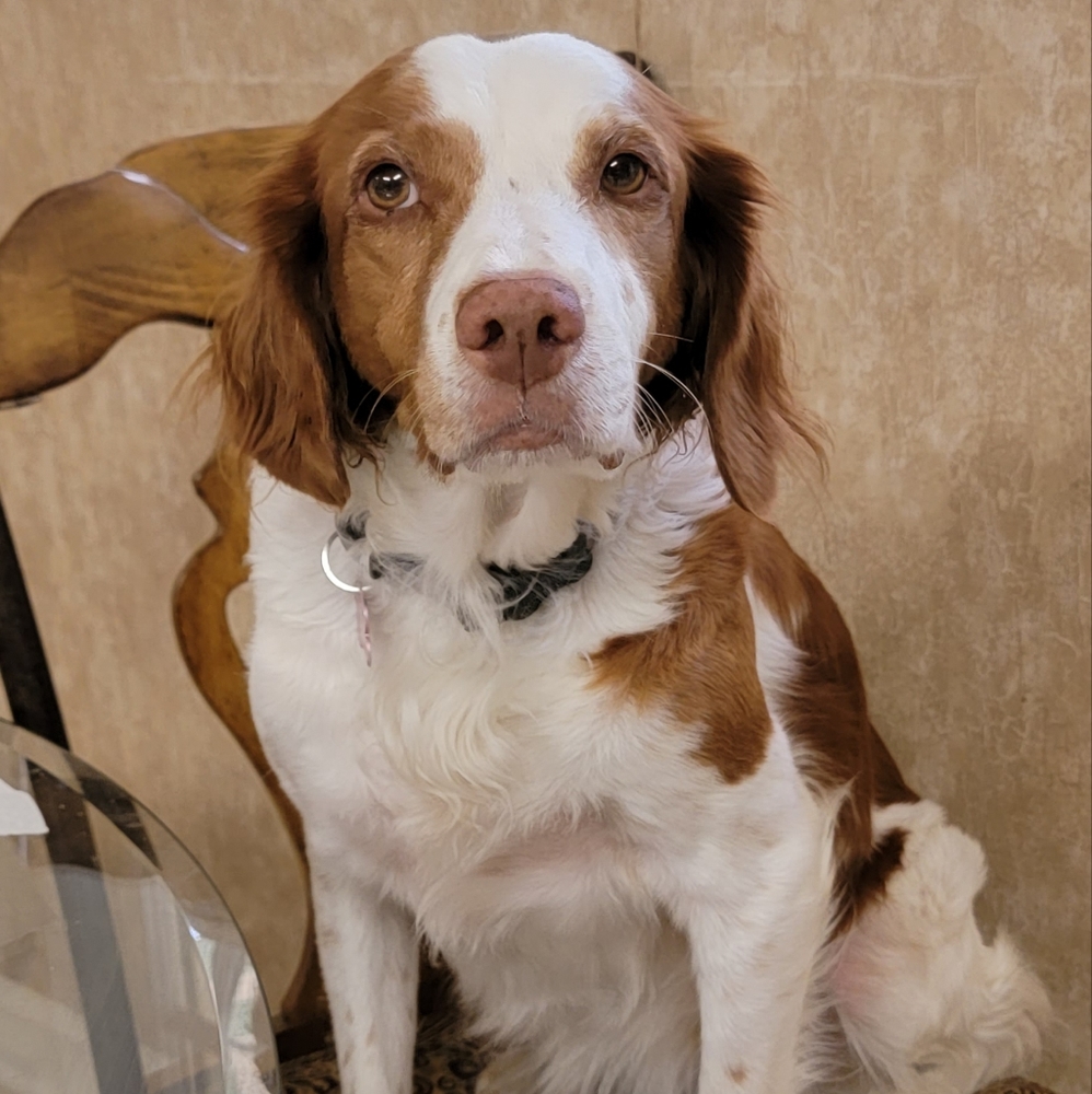 Meet your Posher, Rita